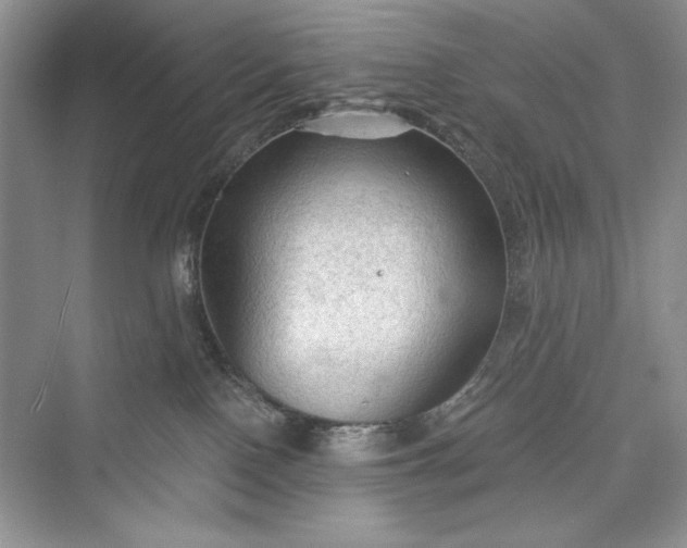 X0000073390090200608111244