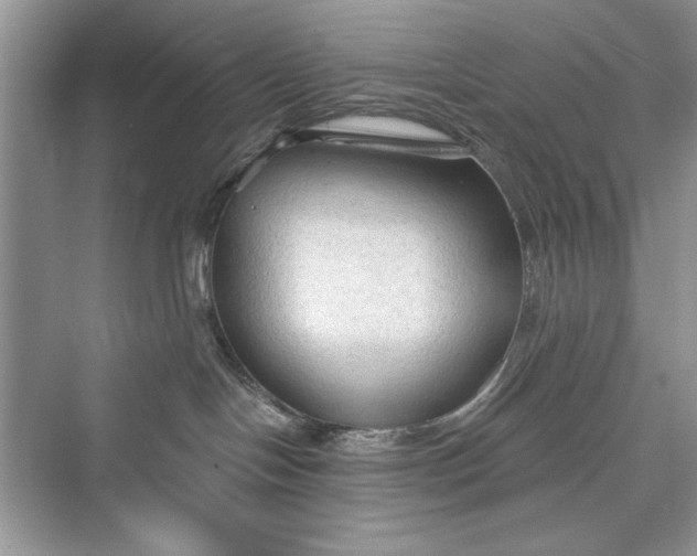 X0000073390094200608111244