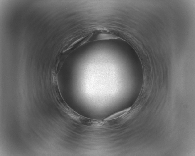 X0000073390096200608111244