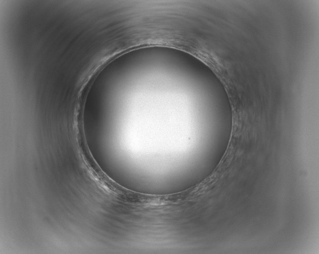 X0000073390098200608111243