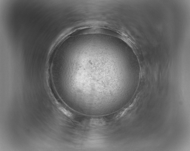 X0000073390101200608111243