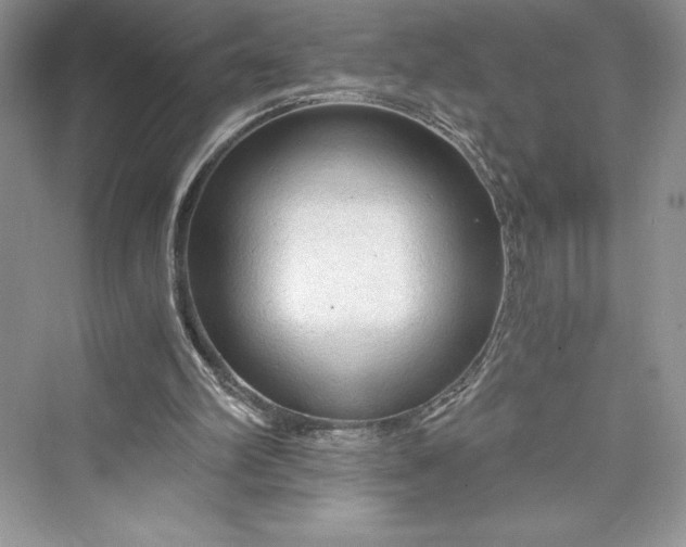 X0000073390102200608111243