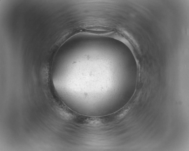 X0000073390113200608111243