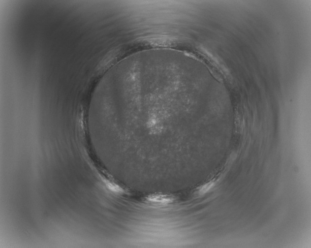 X0000073390117200608111243