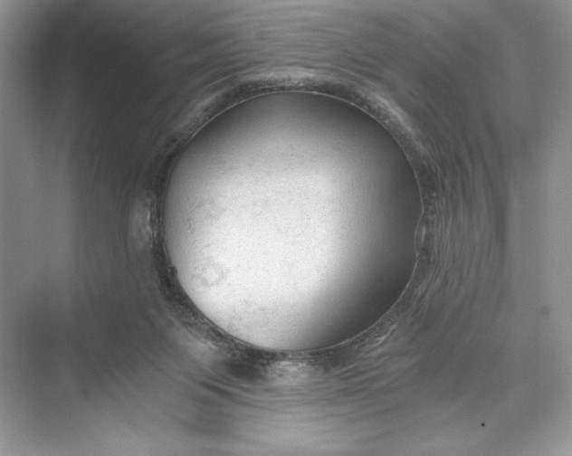 X0000073390119200608111243