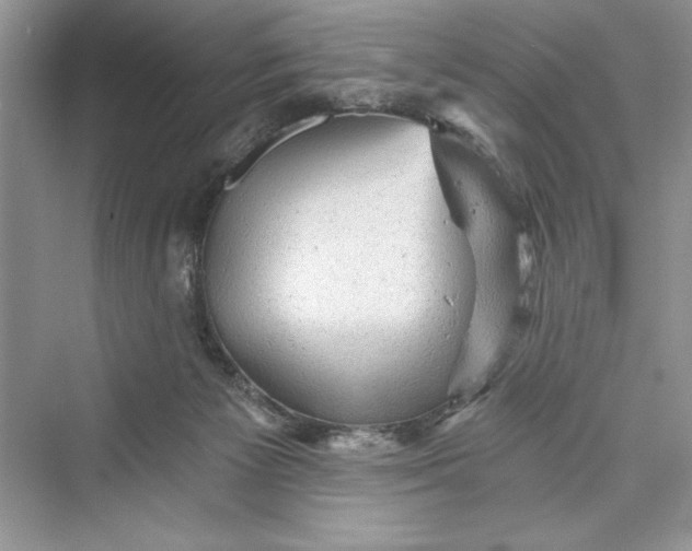 X0000073390125200608111243
