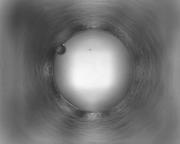X0000073390126200608111243