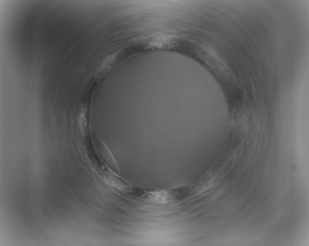 X0000073390127200608111243