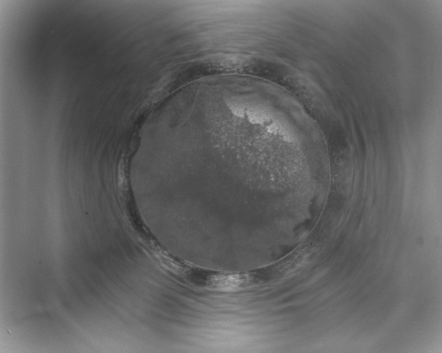 X0000073390131200608111243