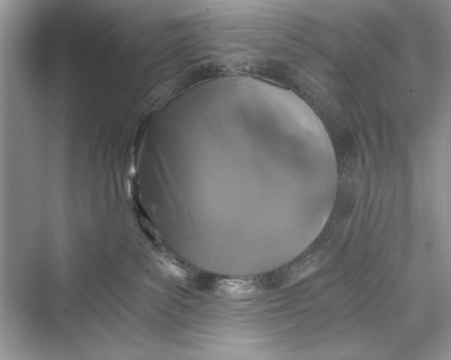 X0000073390139200608111243