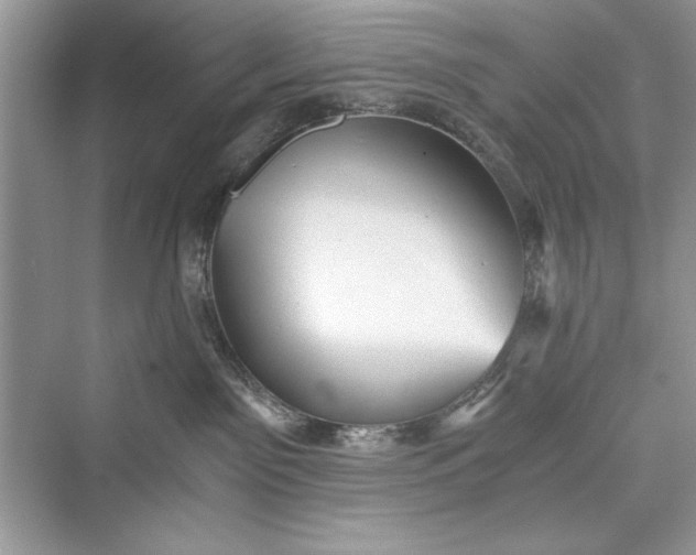 X0000073390141200608111243