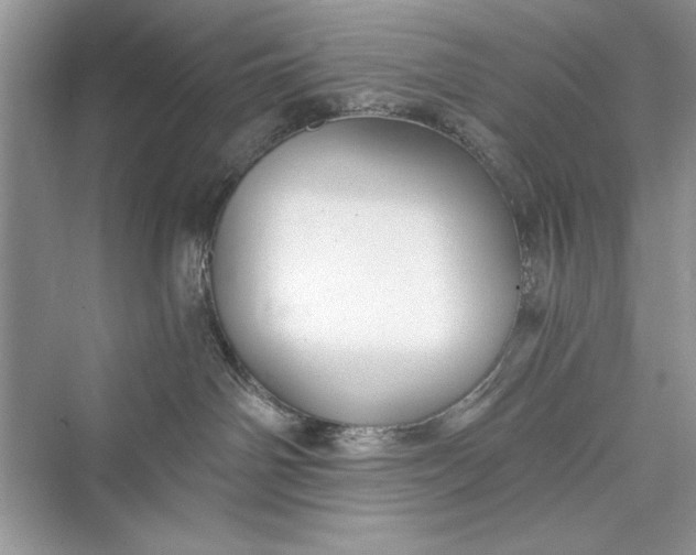 X0000073390142200608111243