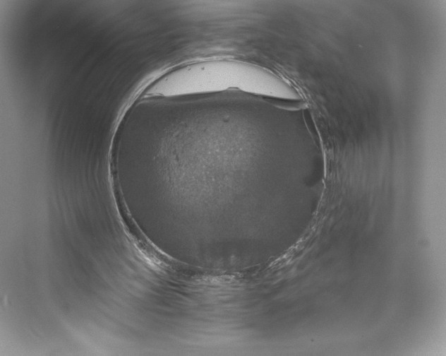 X0000073390147200608111242