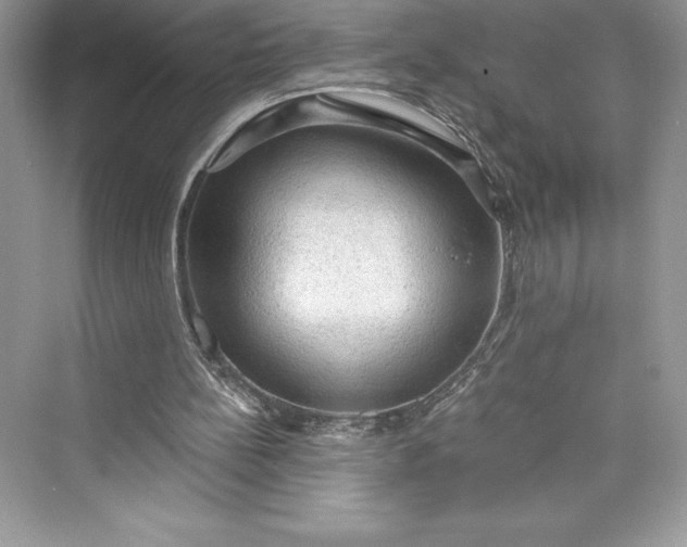 X0000073390148200608111242