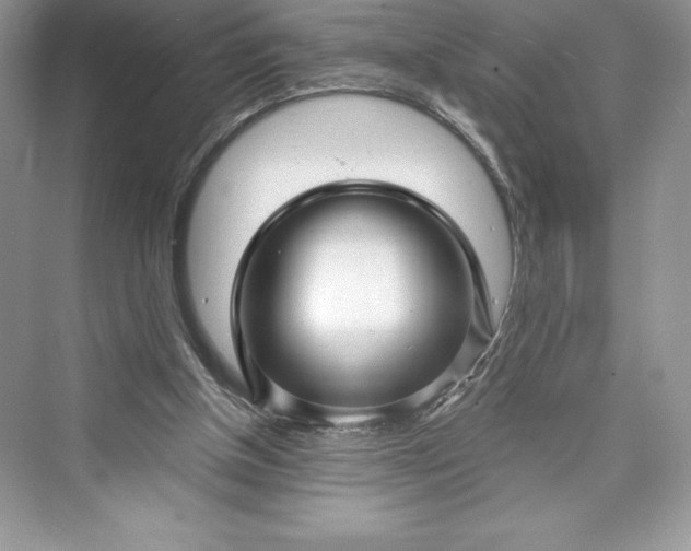 X0000073390154200608111242