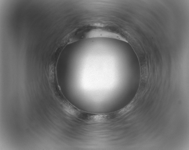 X0000073390184200608111242