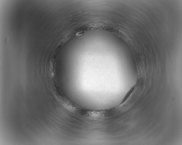 X0000073390187200608111242