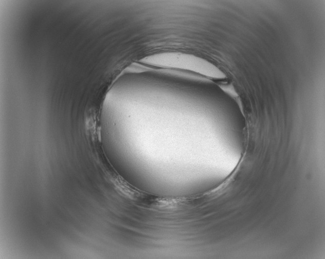 X0000073390190200608111242