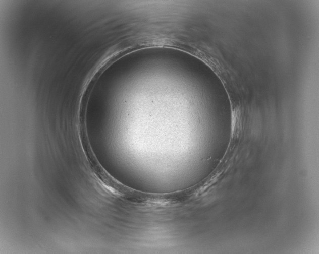 X0000073390195200608111242