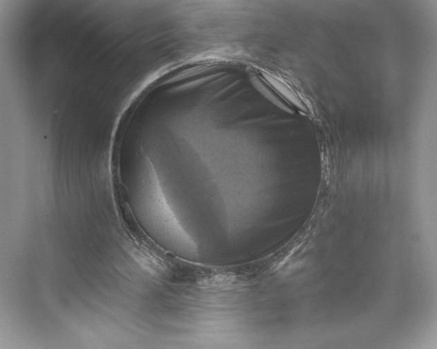 X0000073390196200608111242