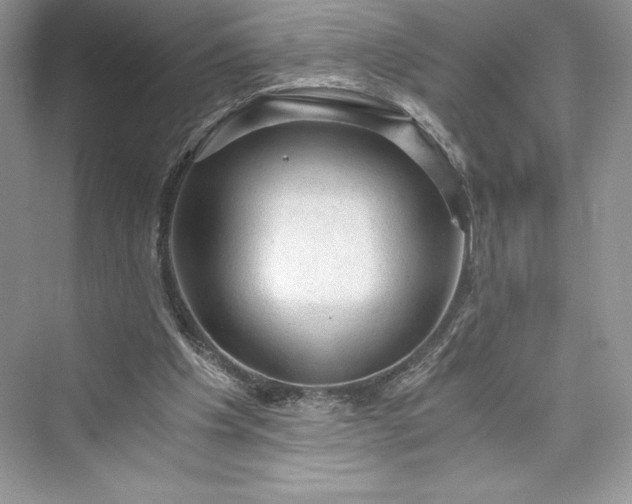 X0000073390201200608111242