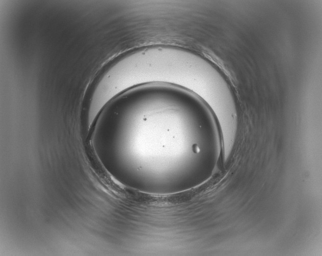 X0000073390203200608111242