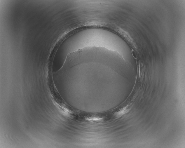 X0000073390204200608111242