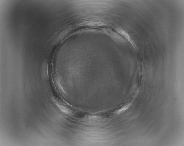 X0000073390205200608111242