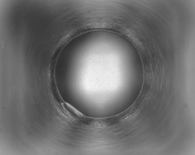 X0000073390207200608111241