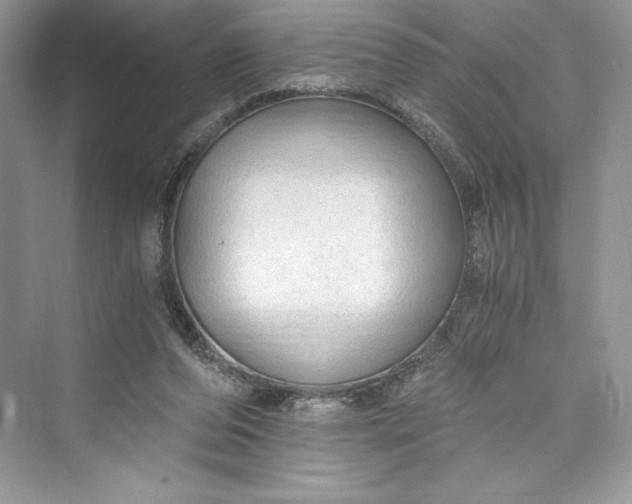 X0000073390208200608111241