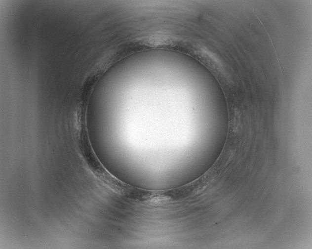 X0000073390210200608111241