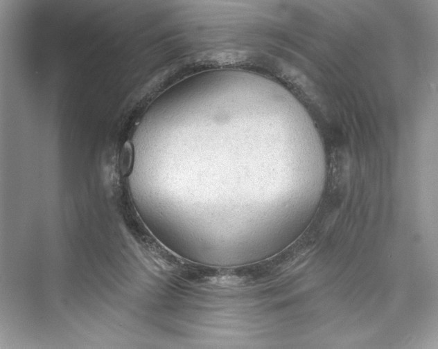 X0000073390212200608111241