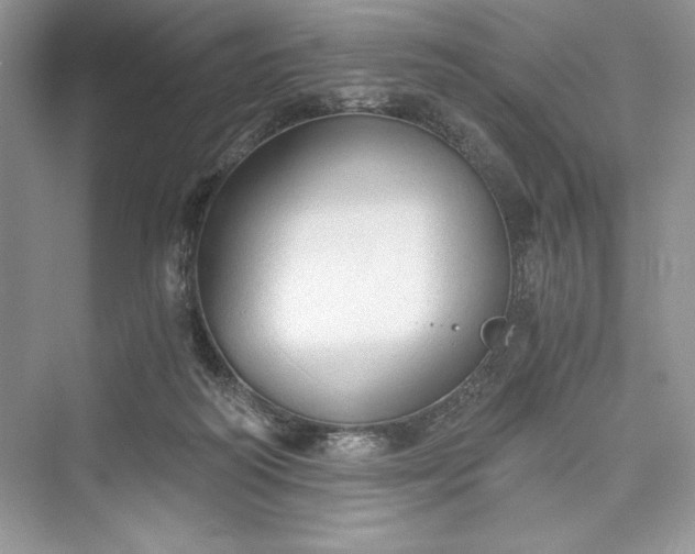 X0000073390218200608111241