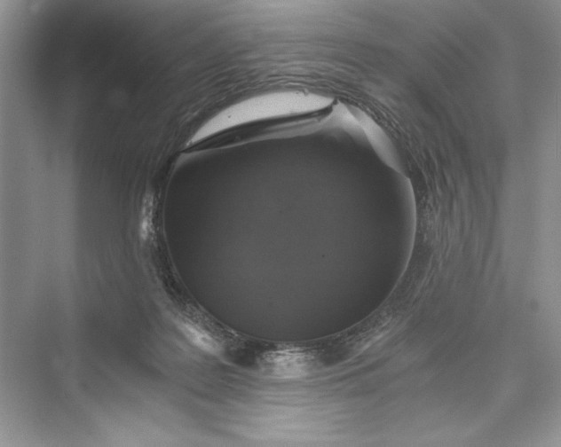 X0000073390219200608111241