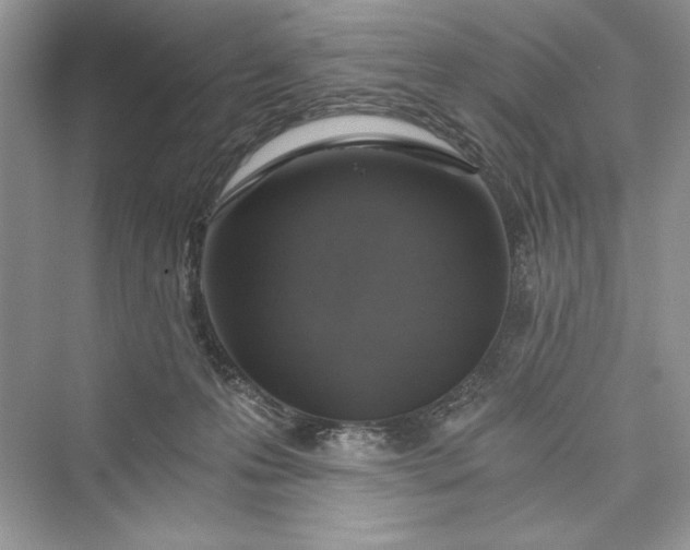 X0000073390223200608111241