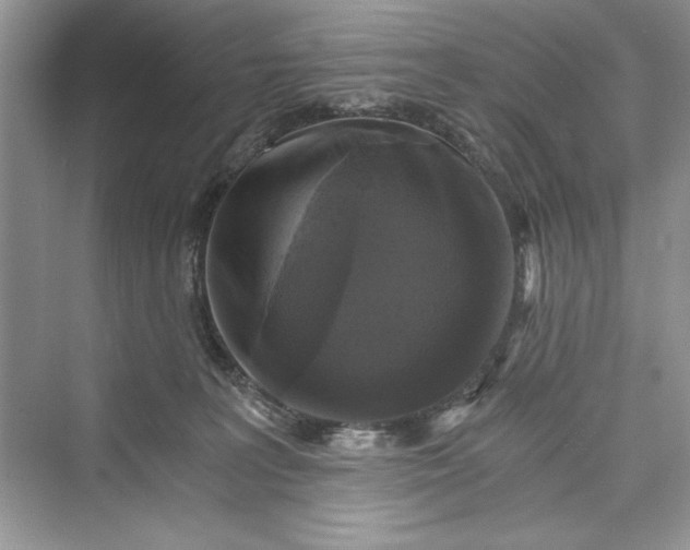 X0000073390227200608111241