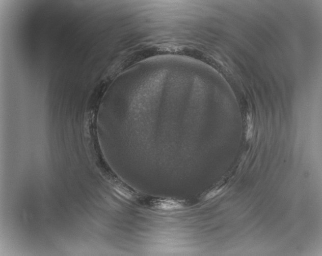 X0000073390229200608111241
