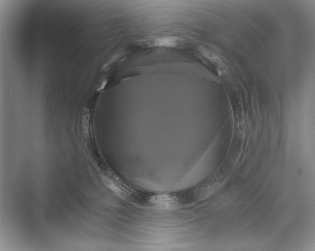 X0000073390231200608111241