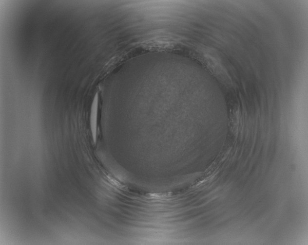 X0000073390232200608111241