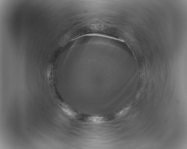 X0000073390233200608111241