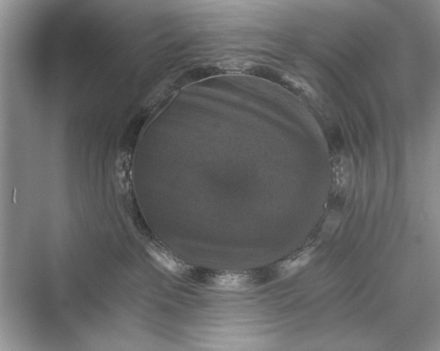 X0000073390237200608111241