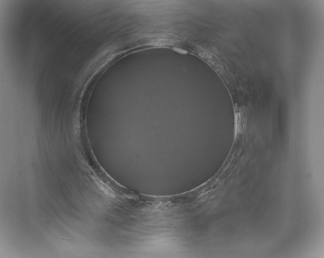 X0000073390243200608111240