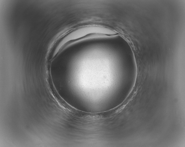 X0000073390245200608111240
