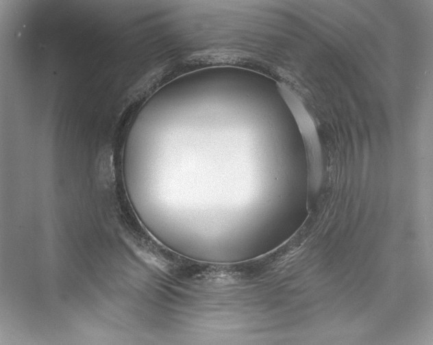 X0000073390254200608111240