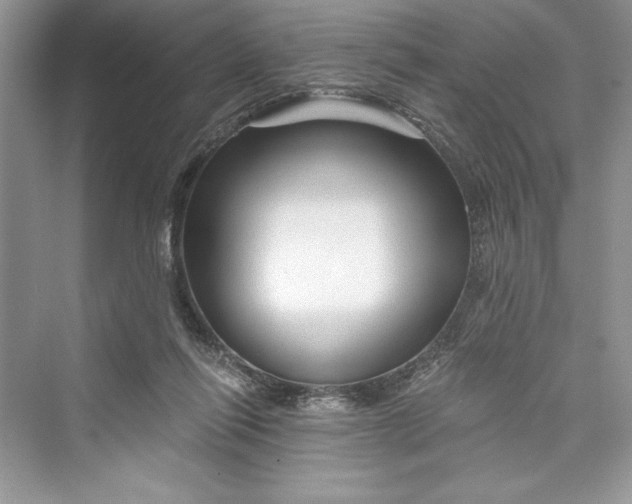 X0000073390262200608111240