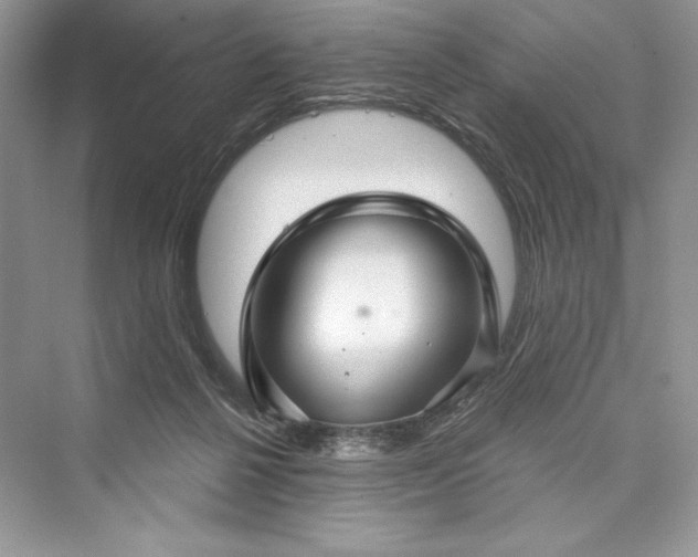 X0000073390264200608111240
