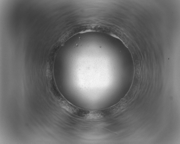 X0000073390270200608111241