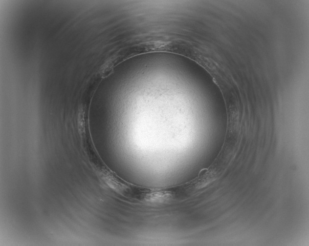 X0000073390274200608111241