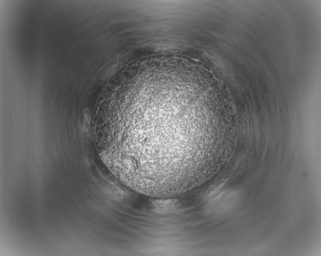 X0000073390281200608111241