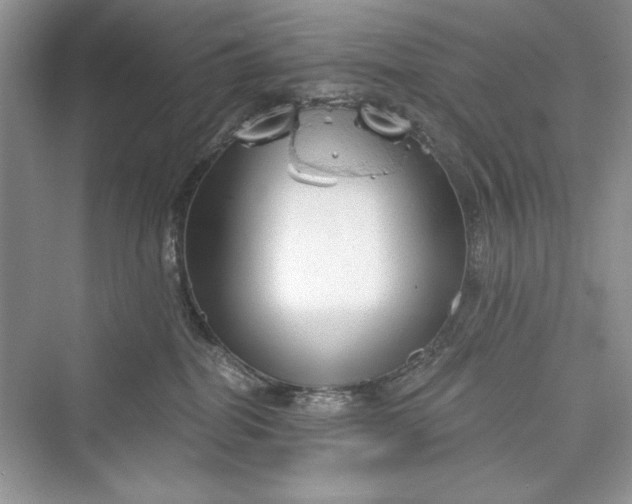 X0000073390282200608111241